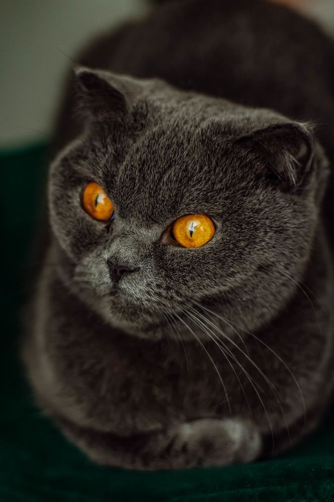 Photograph by Диана Лукашевич