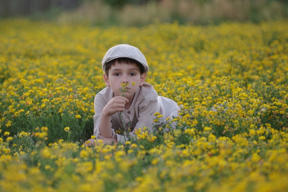 Варлам на солнечной лужайке