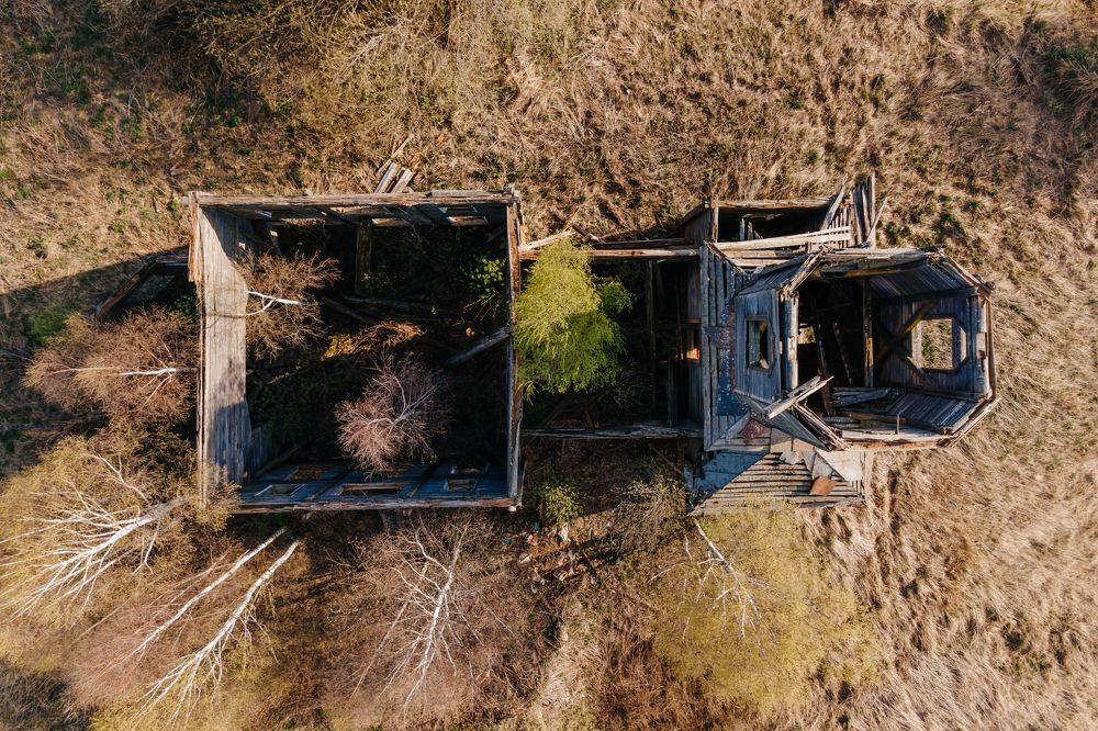 Photograph by Лариса Метелева