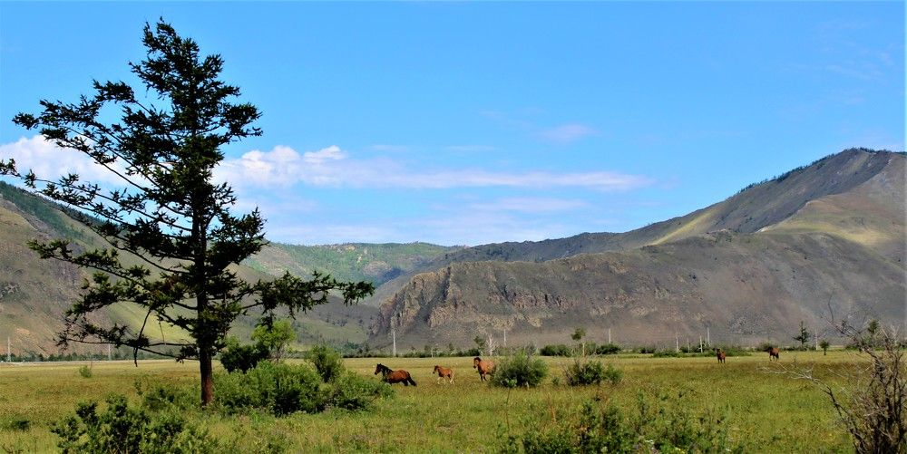 Photograph by Виктор Толстоухов