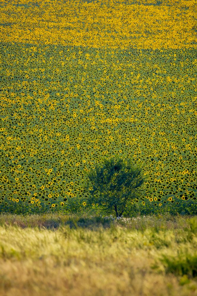 Photograph by Подосинников Максим