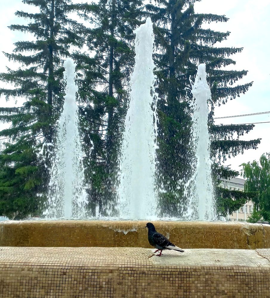 Photograph by Светлана Крон