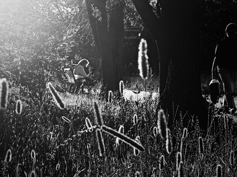 Photograph by Юлия Гришина