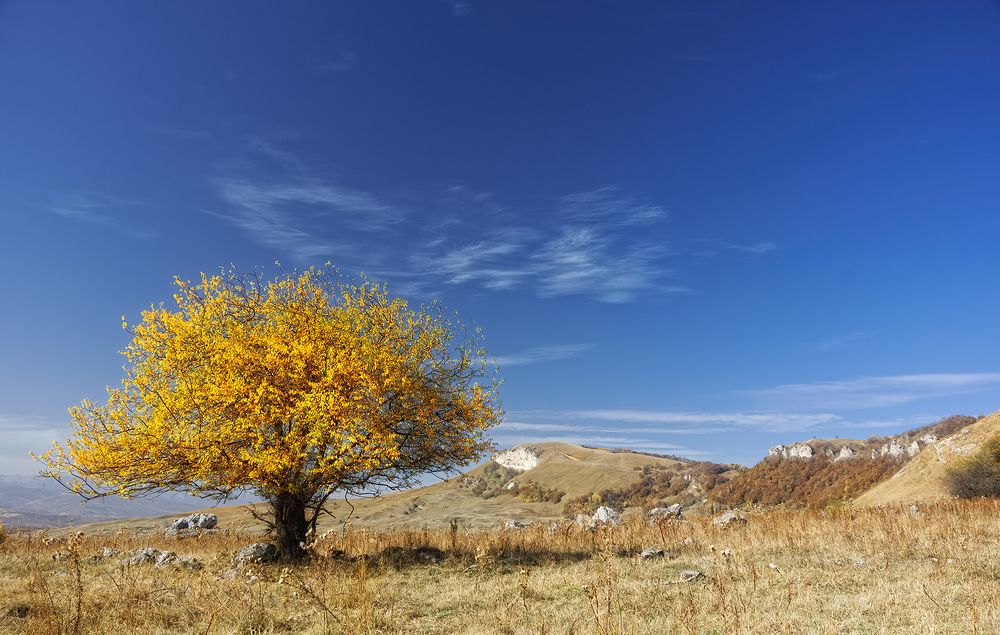 Фотография автора Сергей Павлов