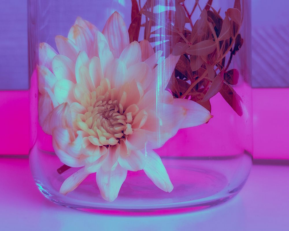 Photograph by Ольга Барулина