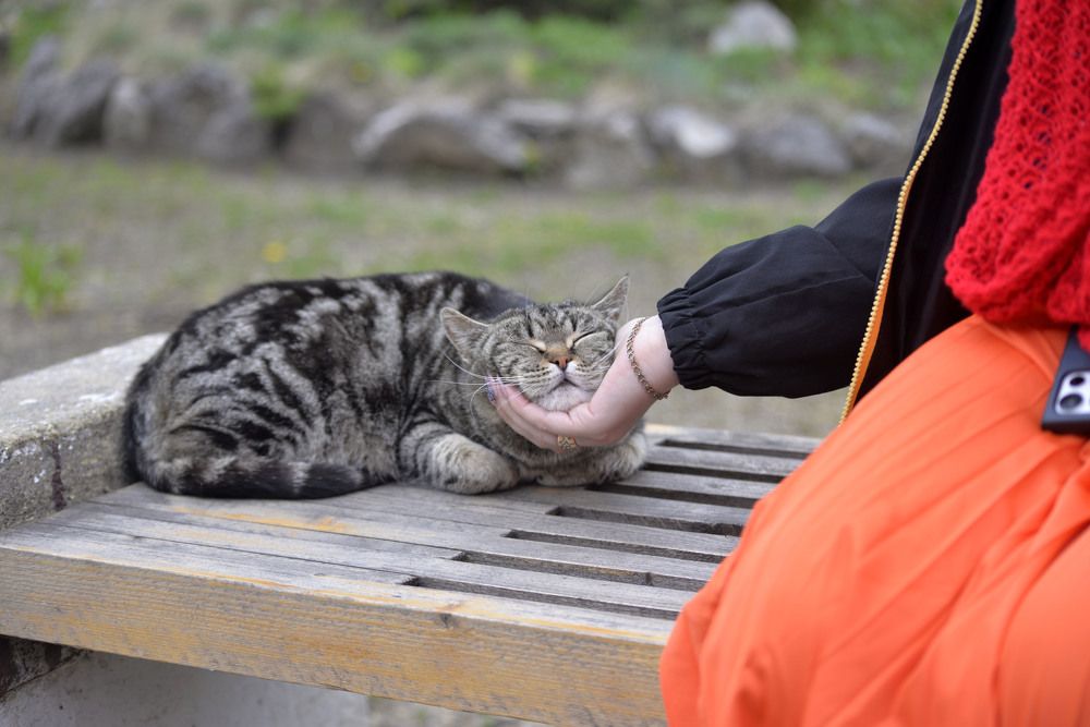 Photograph by Евгений Цыбульник