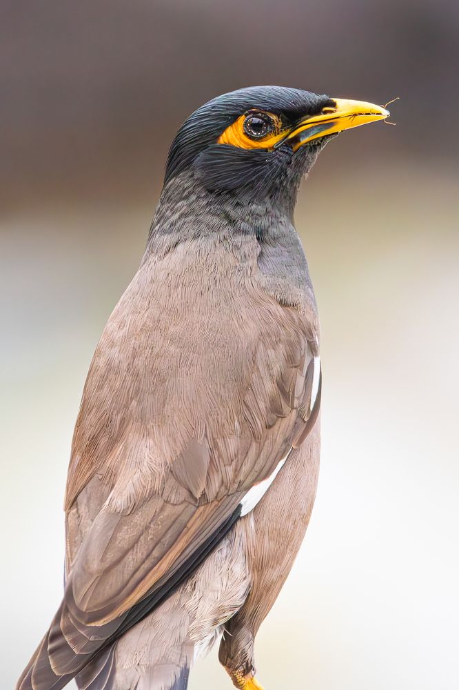 Photograph by Алексей