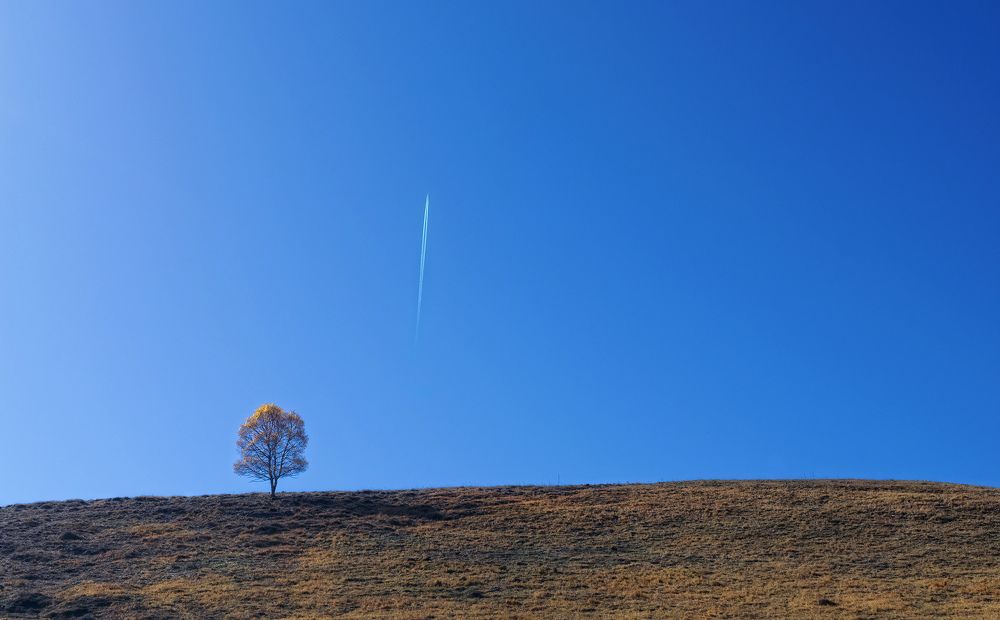 Фотография автора Сергей Павлов
