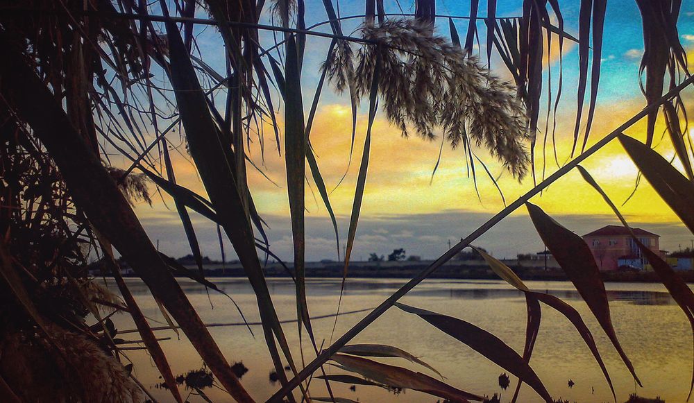 Фотография автора Emil Shahinoglu