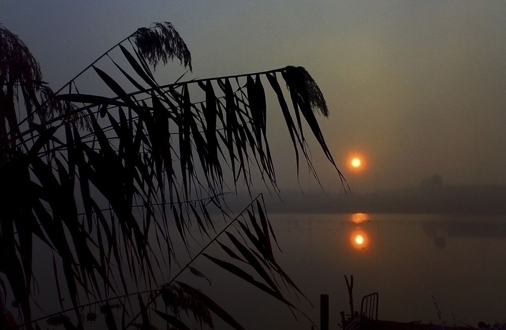 Фотография автора Emil Shahinoglu