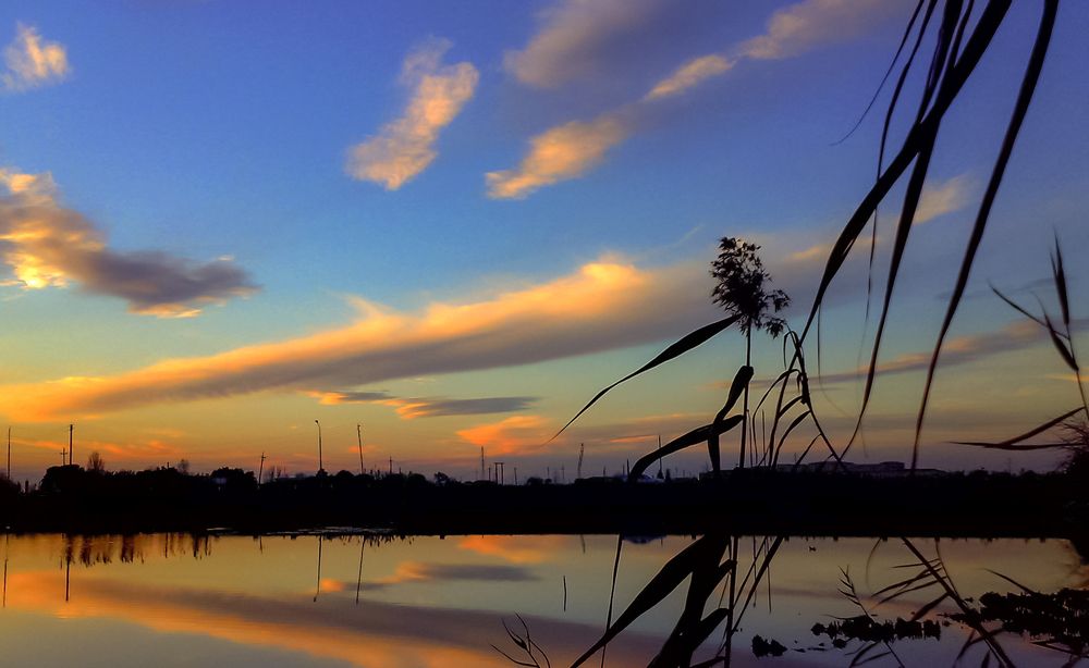 Фотография автора Emil Shahinoglu