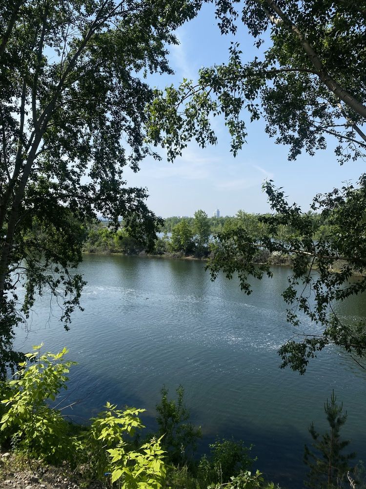 Photograph by Наталья Алина