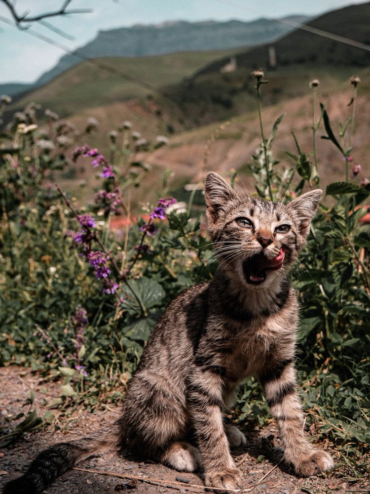 Photograph by Виктория Максюта