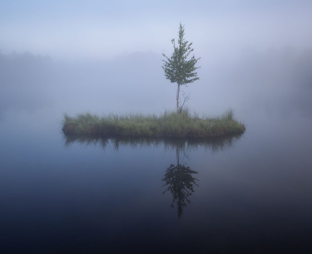 Остров и дерево...