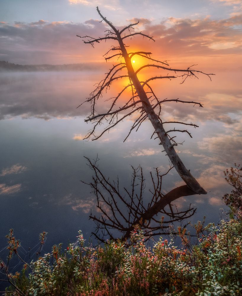 ... видавшее виды...