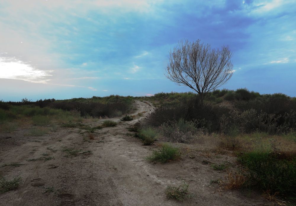 Фотография автора Emil Shahinoglu