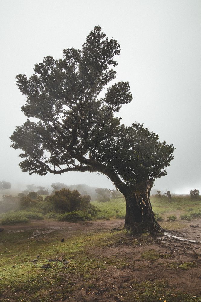 Фотография автора Konstantin Shendel