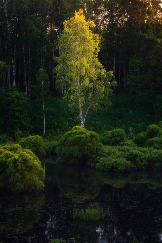 Photograph by Павел Абакумов