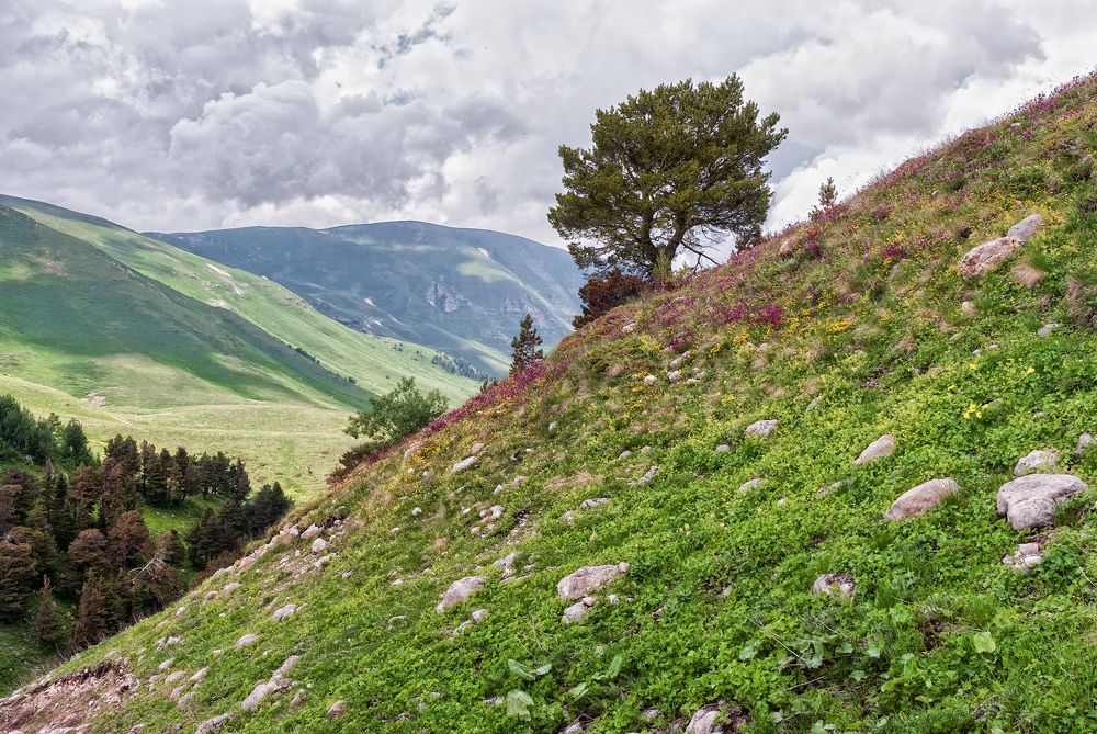 Фотография автора Сергей Павлов