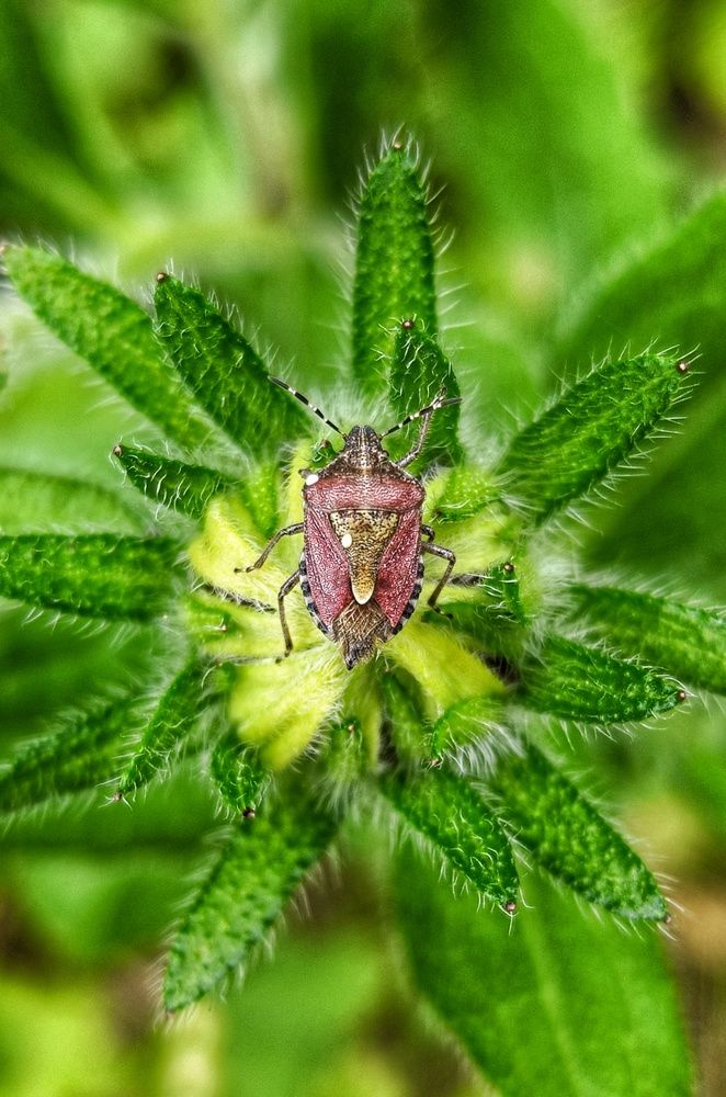 Photograph by Leanid Kulpo