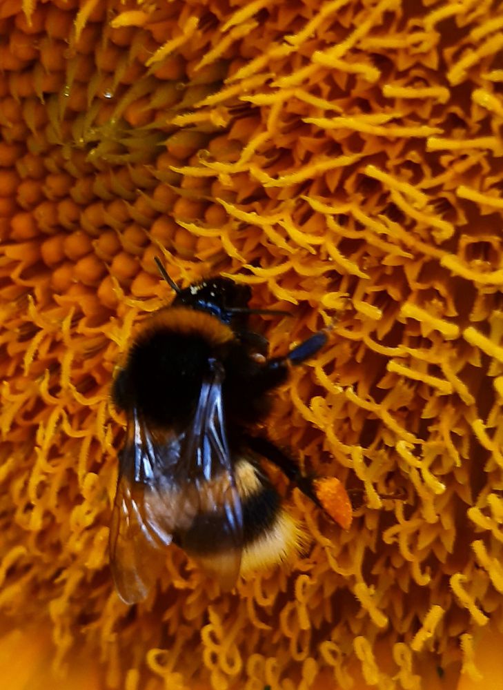 Photograph by Светлана Войта