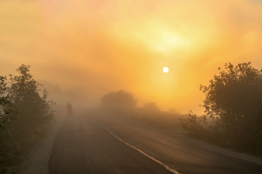 Туманное утро