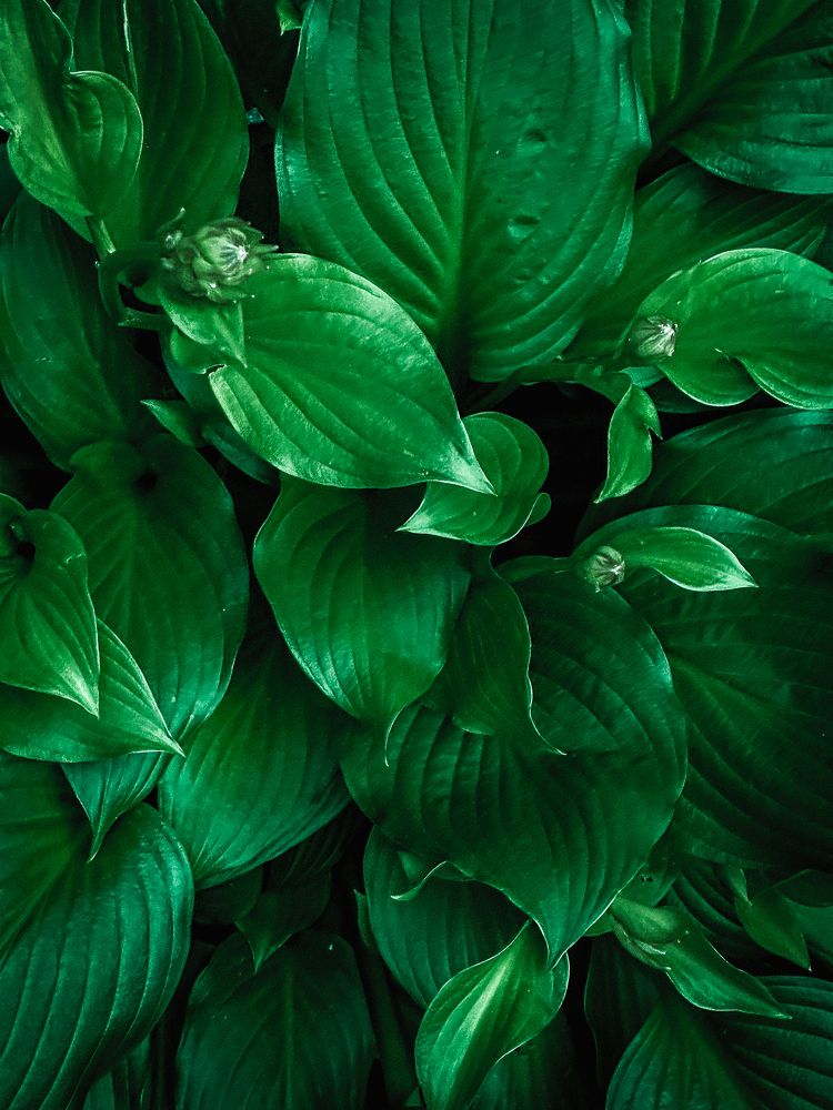 Photograph by Анастасия Улитко