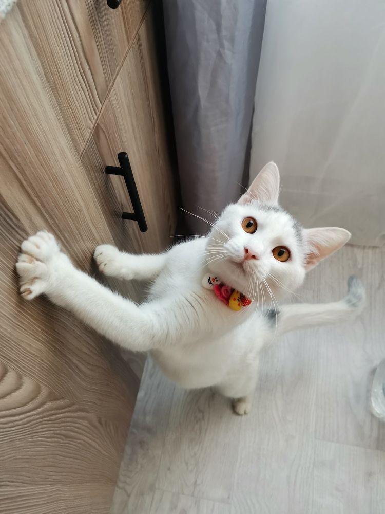 Photograph by Ольга Богданова