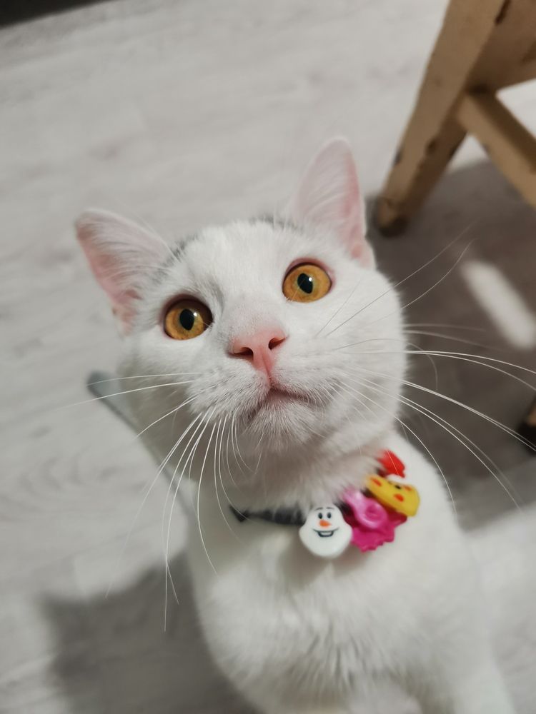 Photograph by Ольга Богданова