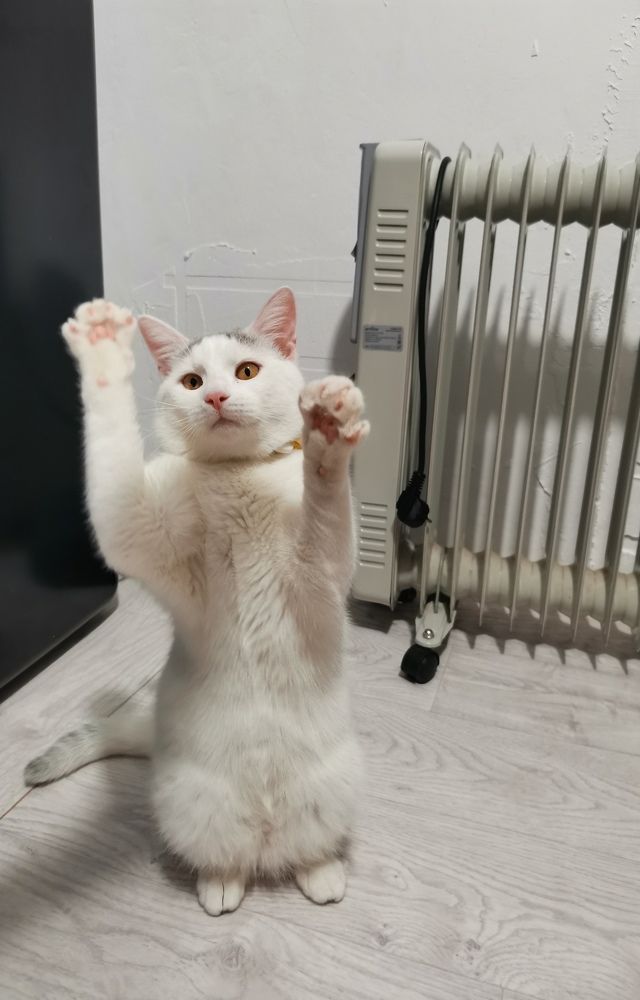 Photograph by Ольга Богданова