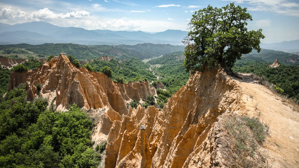 Photograph by Петър Петров