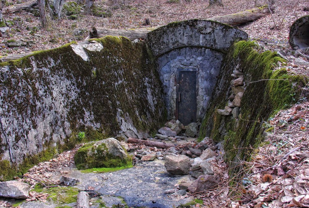 Фотография автора Сергей Павлов