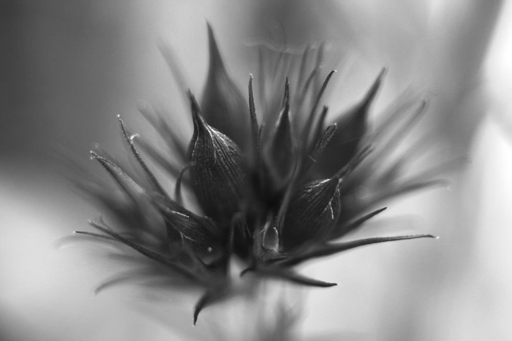 Photograph by Оксана Ботвина