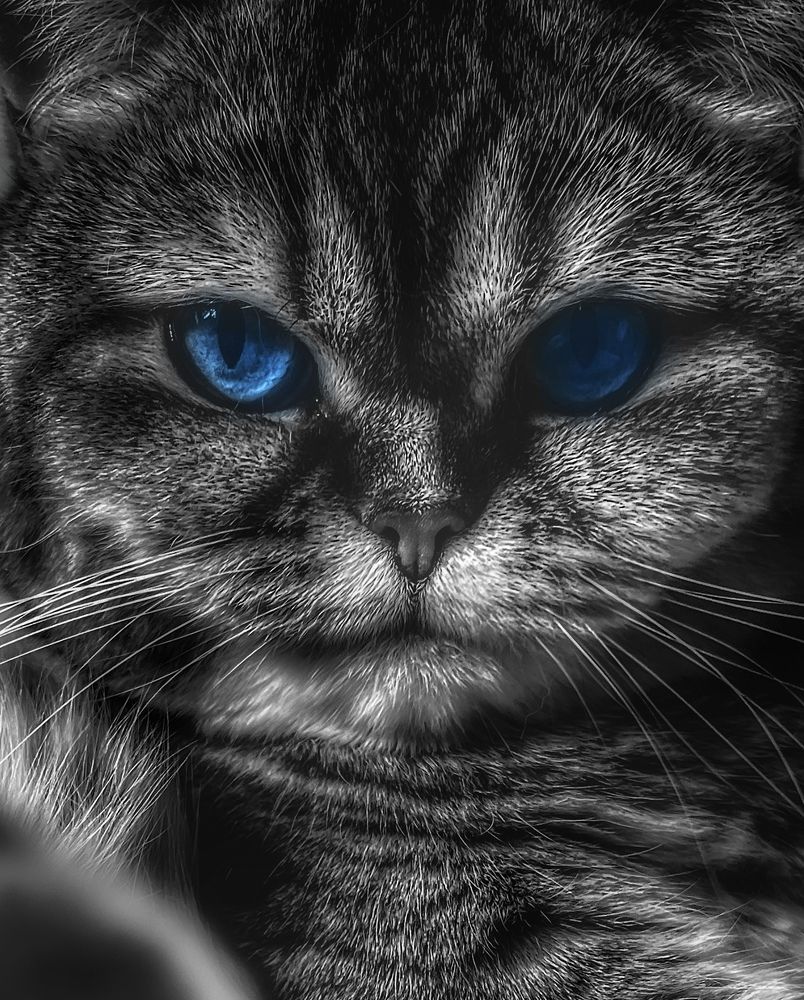 Photograph by Анна Белова