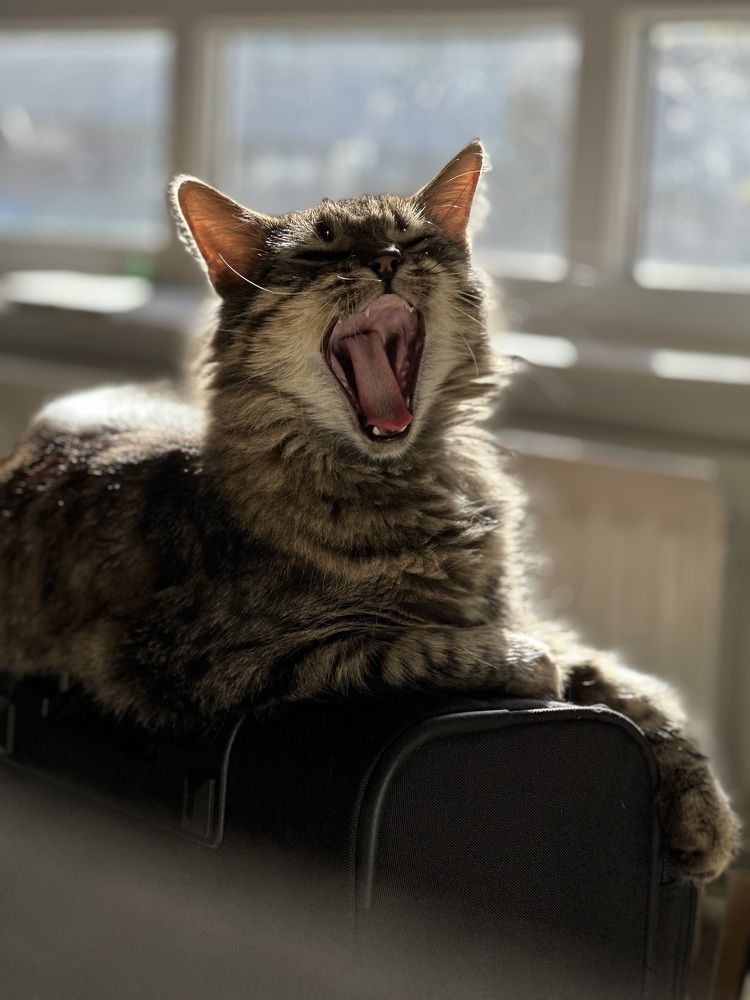 Photograph by Mamta Sofat