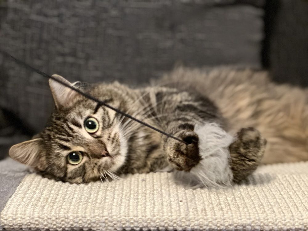 Photograph by Mamta Sofat