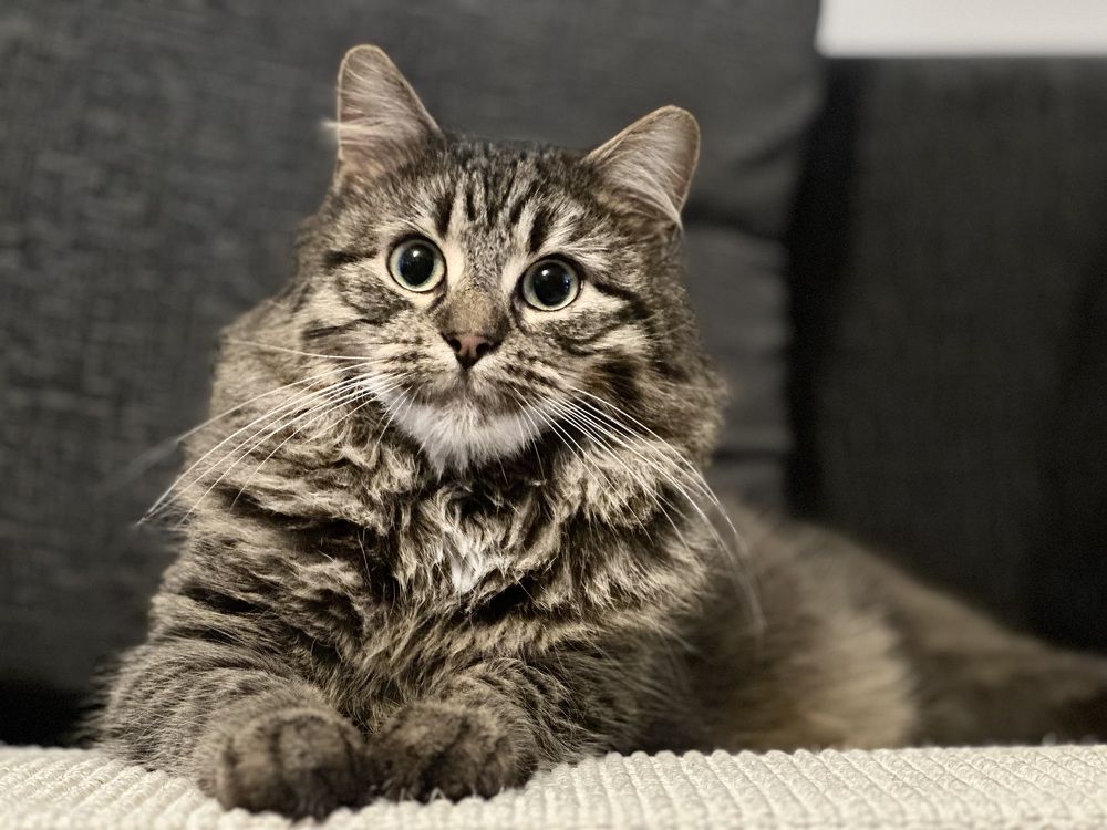 Photograph by Mamta Sofat