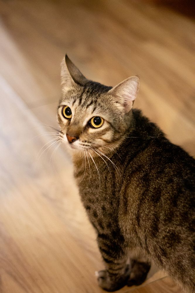 Photograph by Сергей Шестов