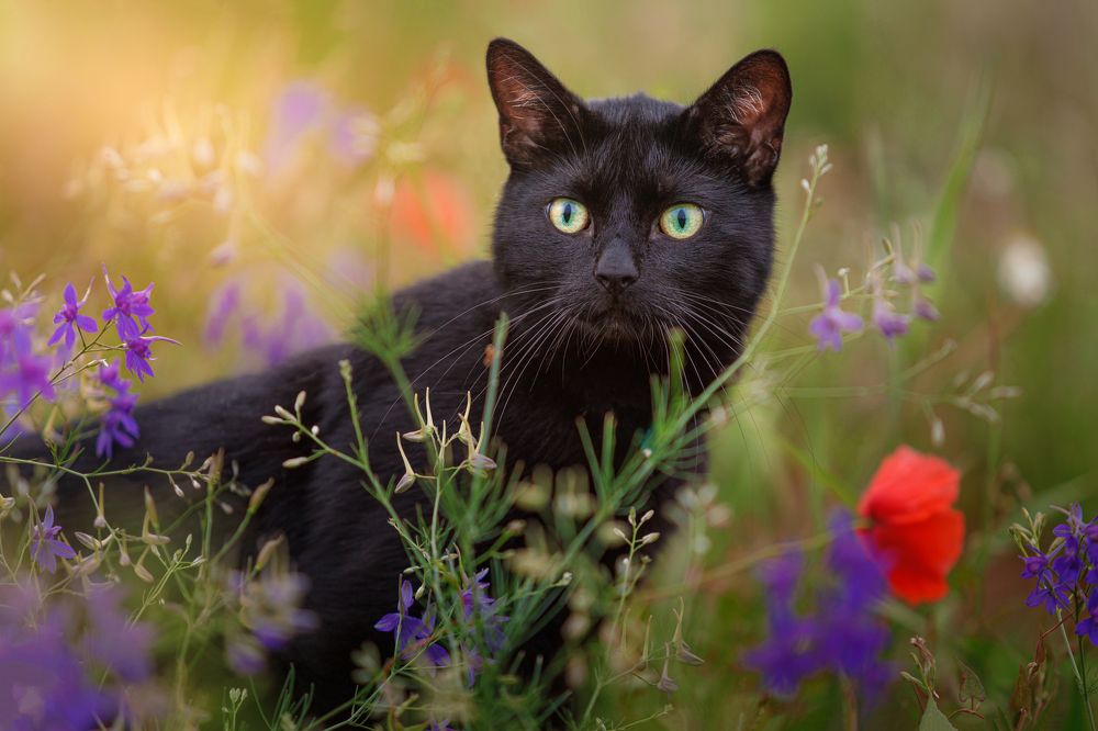 Photograph by Яна Нарбутович