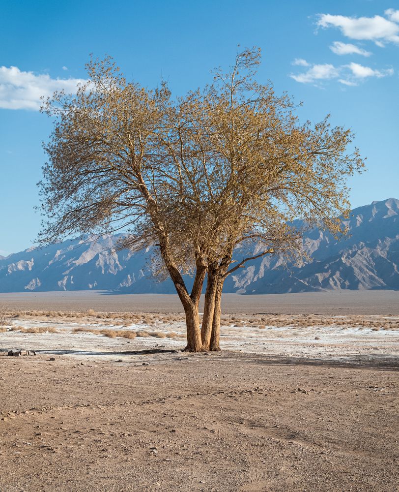 Photograph by Елена Захарова