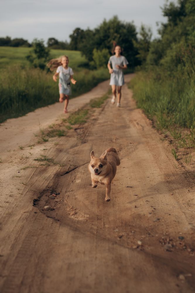 Photograph by Виолетта Алексеевна