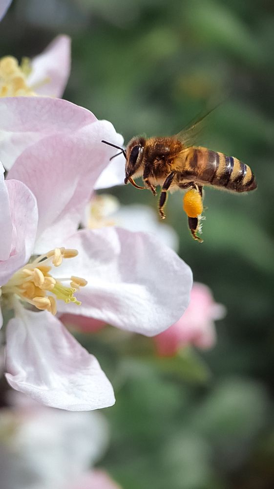 Photograph by Кристина Дугина