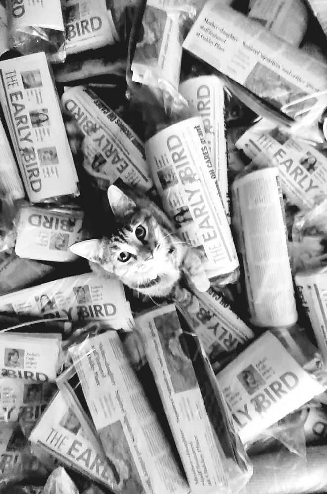 Photograph by Tiffanie Green