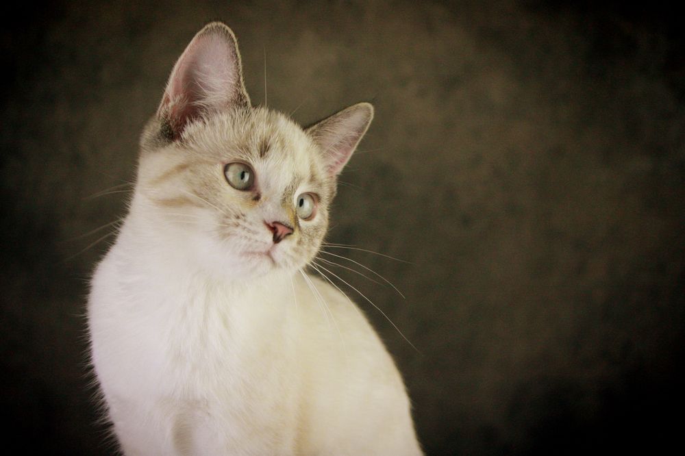 Photograph by Tiffanie Green