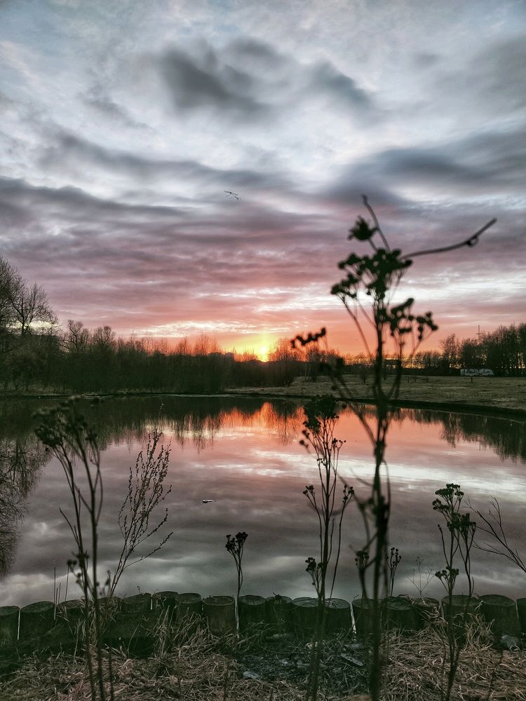 Photograph by Елена Третьякова