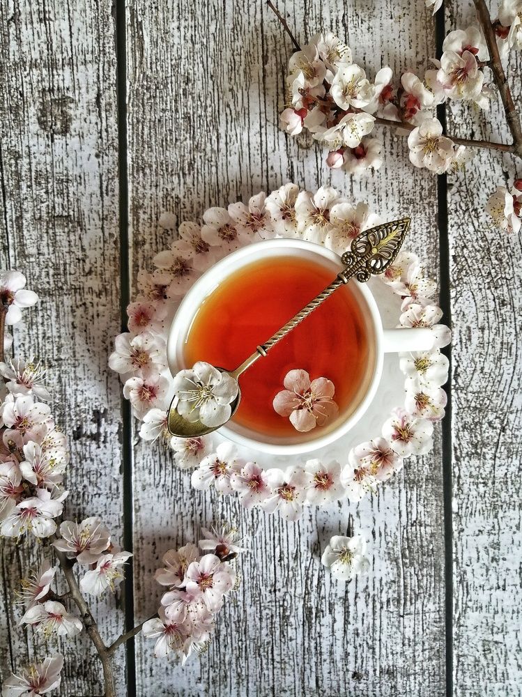 Фотография автора НАТАЛЬЯ СЕВЕР