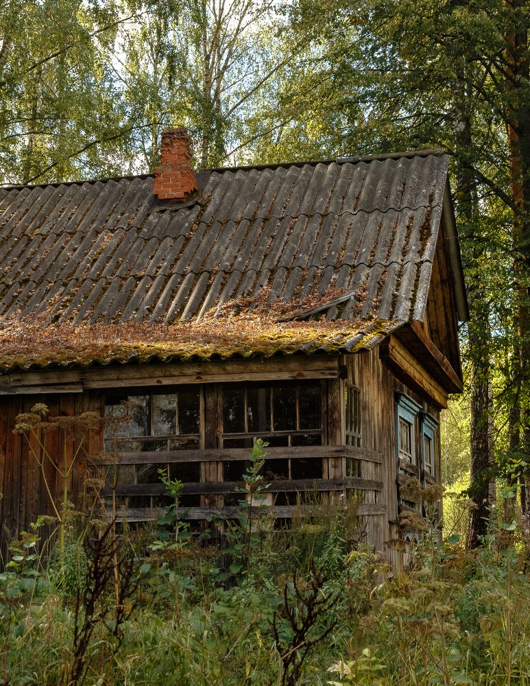 Photograph by Kolevatova Natalia