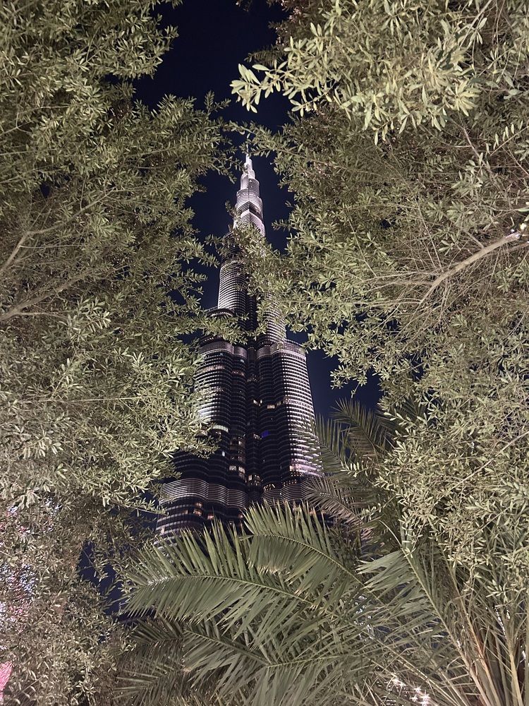 The pearl of the desert ✨