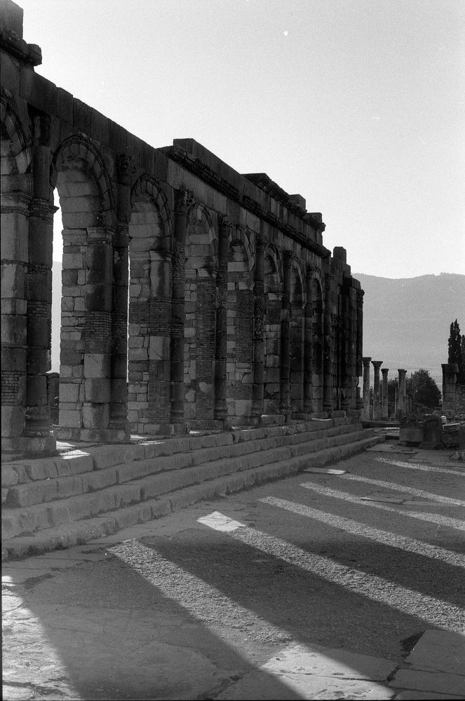 Photograph by mrigua said