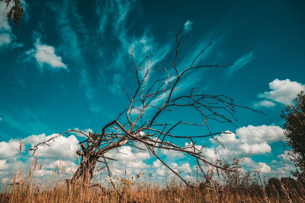 Фотография автора Татьяна Грунтович